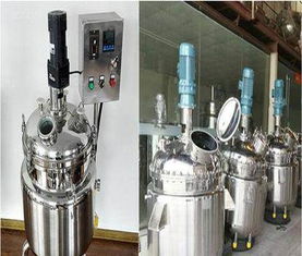 多功能搅拌反应釜 机械设计与工业应用